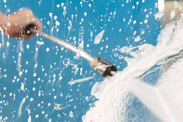 Best Animal Enclosure Cleaning  in Lmar, DE